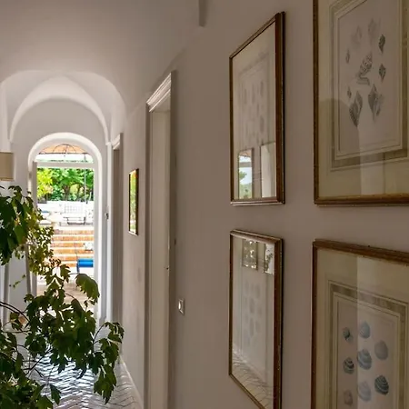 Beautiful With View In The Heart Of * Κάπρι